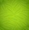 Green leaves texture, eco friendly background