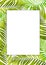 Green leaves of tropical or home plants border on green background. Nature leaves, tropical background template