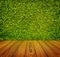 Green leaves wall and wooden floor for background