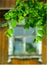 Green leaves and window of country house