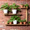 Green Leaves on Wooden Shelf: Brick Wall