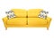 Green lemon yellow sofa with pillow. Soft lemon couch. Modern divan on isolated background