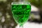 Green lemonade Tarragon in a glass glass on a blurry background, close-up. Green drink from healthy herbs Tarragon