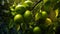 Green lemons on a branch. Generating artificial intelligence