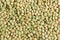 Green lentil background