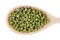 Green Lentil on a wooden spoon