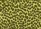 Green leopard skin texture background wallpaper design