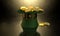 Green Leprechaun Hat Filled With Gold Coins