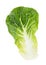 Green lettuce cabbage isolated on white background