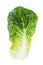 Green lettuce cabbage isolated on white background