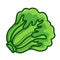 Green Lettuce cartoon isolated illustration