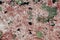 Green lichen on pink granite stone. Abstract natural background.