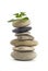 Green Life - balanced stone tower with plant