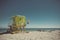 Green lifeguard cabin on the beach on a sunny day