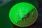 Green light on Bitcoin currency coin extreme close-up