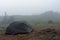 Green lightweight freestanding three-season 2-person tent on  hill in grass in the evening after rainstorm.  Jesenik mountains,