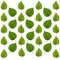 Green Lilac Leaf Pattern