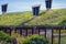 Green Living Roof. Eco Friendly Building