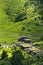 Green living sod roofs covered with vegetation, aerial view, apartments