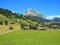 Green living in swiss Alpine landscape