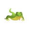 Green lizard, amphibian animal cartoon vector Illustration