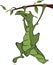 Green lizard . Cartoon