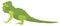 Green lizard. Iguana icon. Funny reptile animal