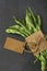 Green lobio beans,raw, bouquet, on a black background, view from above