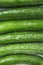 Green long cucumbers on a white background