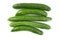 Green long cucumbers on a white background