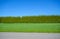 Green long hedge on blue sky background with mowed lawn and asphalt road in front