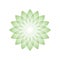 Green lotus flower - symbol of yoga, wellness, beauty and spa. Vector illustration