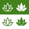 Green Lotus Plant Icon Set Logo. Vector