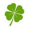 Green lucky clover leaf isolated - PNG