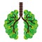 Green lungs of branches icon image