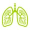 Green lungs vector icon
