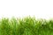 Green lush artificial grass