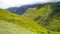 Green lush mountain slopes in the mountains of Madeira