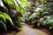 Green lush palm leaves passage in botanical park