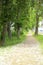 Green and lush park with empty walkway