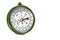 Green magnetic compass