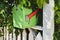 Green mailbox with red flag outdoors on white picket fence surrounded by leaves