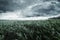 Green maize field in front of dramatic clouds and rain