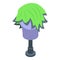 Green male wig icon, isometric style