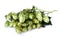 Green malt grape