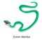 Green Mamba snake color flat icon