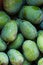 Green mango background