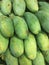 Green mangoes fruit