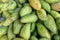 Green mangoes lying on a market counter. Exotic fruits of Asia