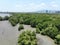 Green mangrove forest capture carbon dioxide. Net zero emissions. Mangroves capture CO2 from atmosphere. Blue carbon ecosystems.